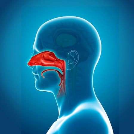 An image of a person in blue, with their nasal cavity highlighted in red. Try out our Nasal Specific Technique today!