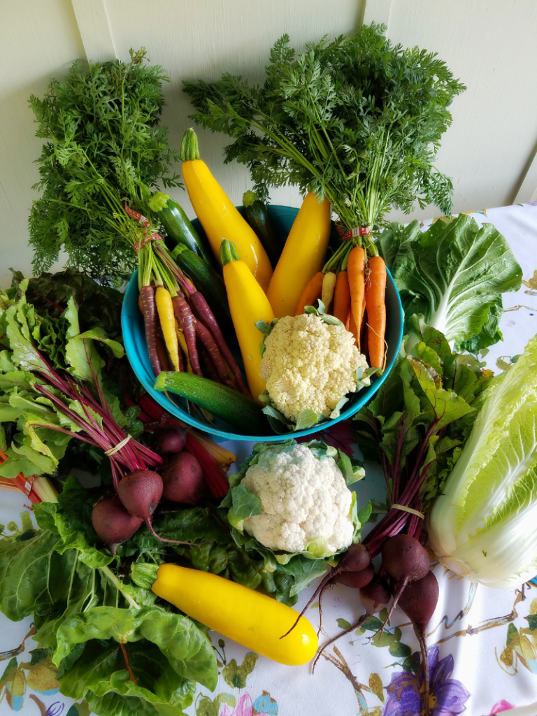 Gut Healing Foods for the gut rebuild program
